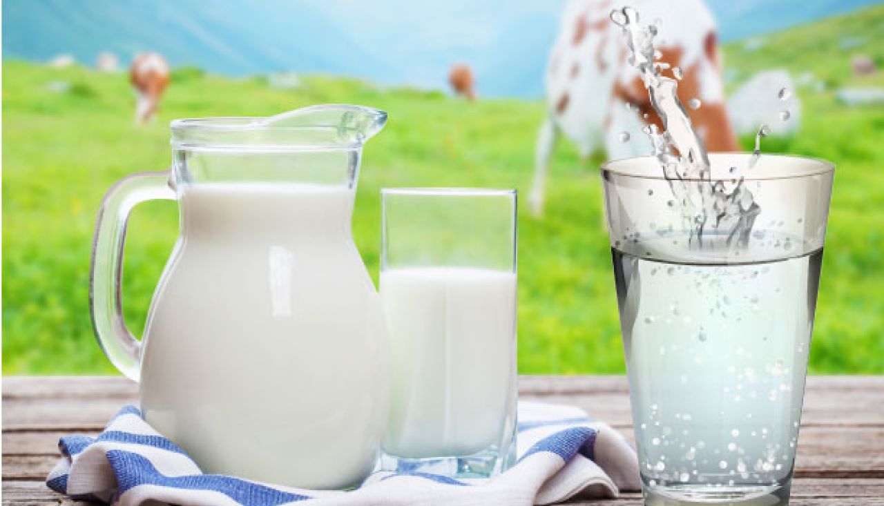 Efectos de añadir agua en la leche